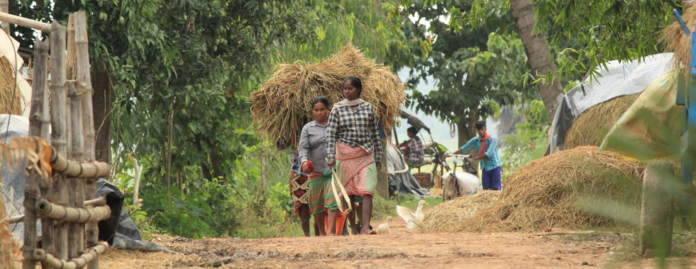 save the children malda_2